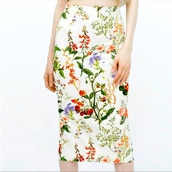 ✨NWT | Zara | Floral Midi skirt - Picture 1 of 9